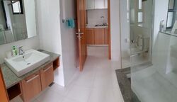 The Pier at Robertson (D9), Apartment #455959241